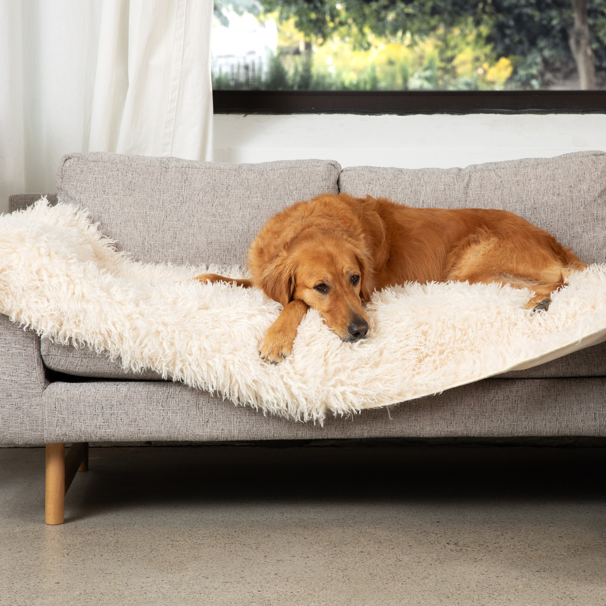 PupProtector™ Luxe Waterproof Bed Runner | Plush Sheep Ivory