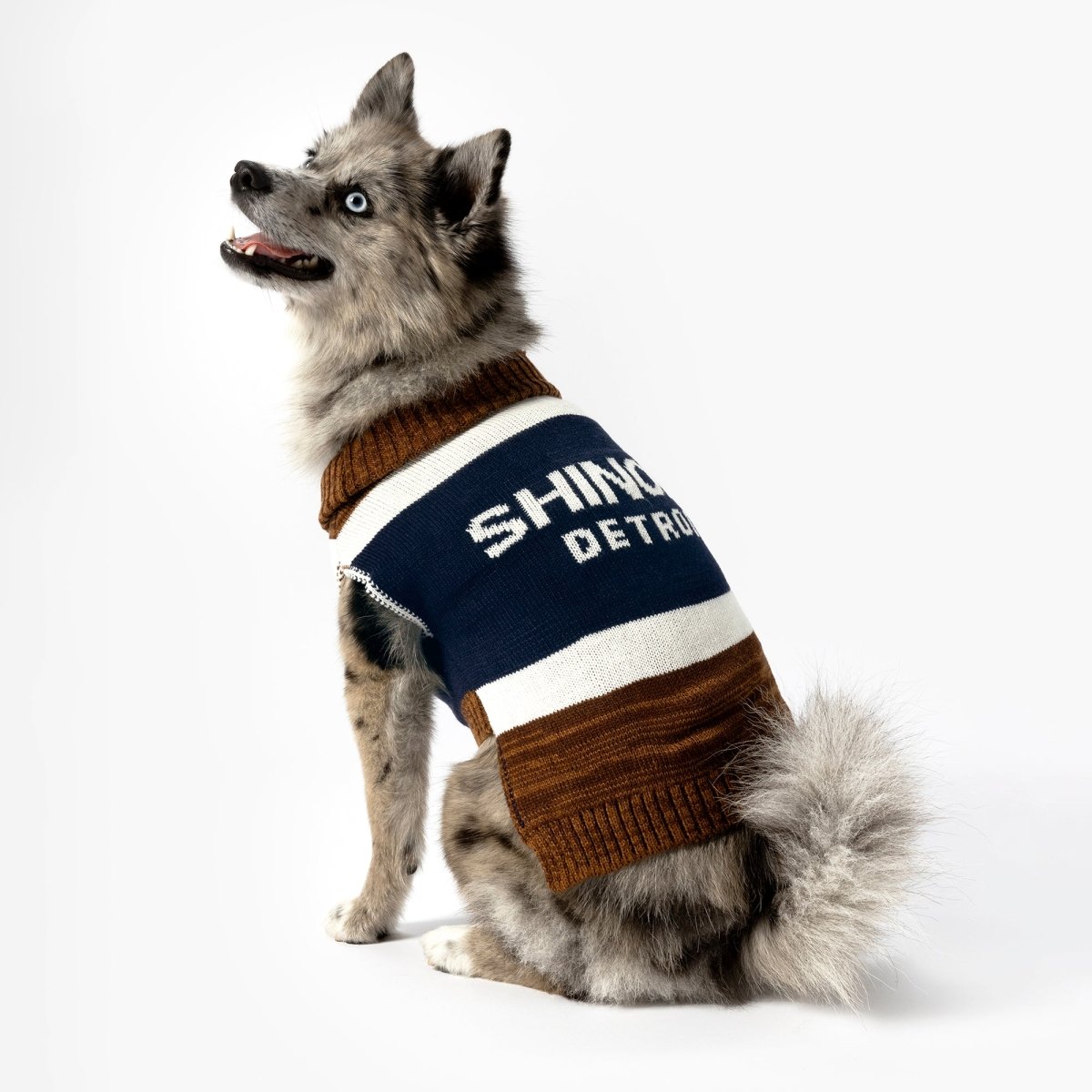 Shinola Detroid Brand Stripe Knitted Pet Sweater