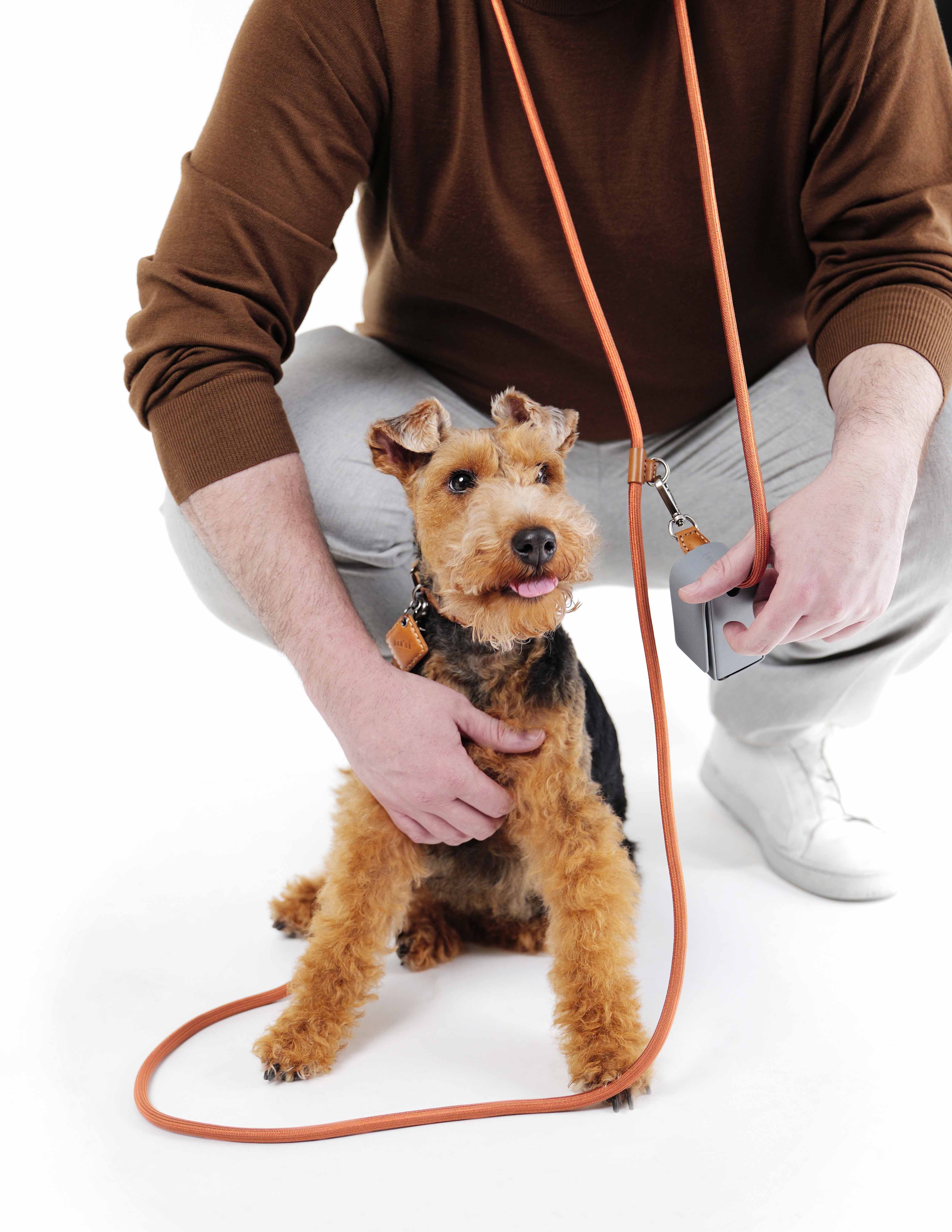 Hands-Free Ray Collar + Leash Set For Dogs | Brown