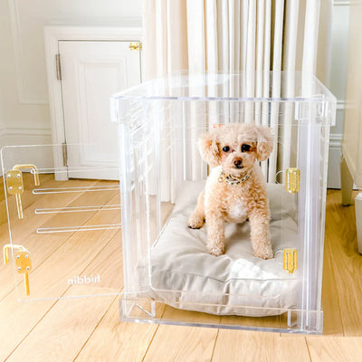 Visual Reference: Remote Controlled Dog Door Opener