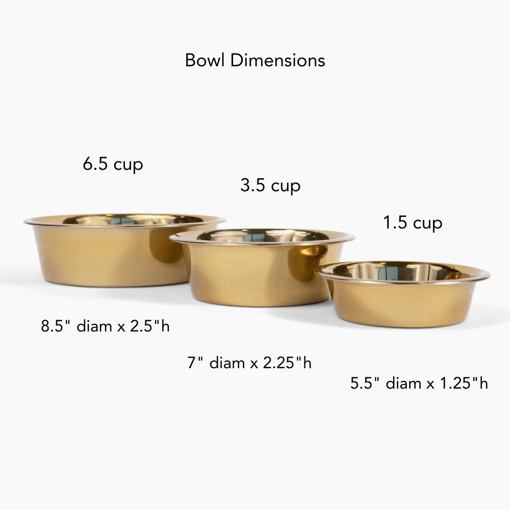 stainless steel pet bowls in gold color from Hiddin