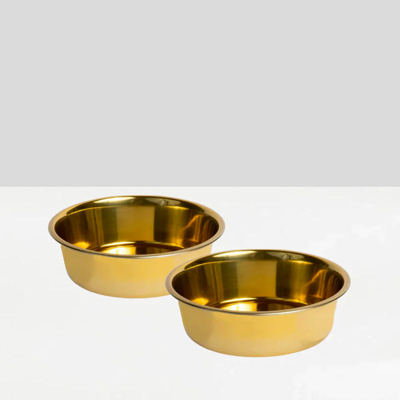 Big Dog Bowl Stainless Steel Gold Pet Bowl for Medium Large Dogs