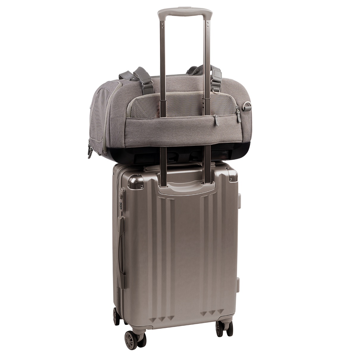 Dupree airline pet carrier and car seat