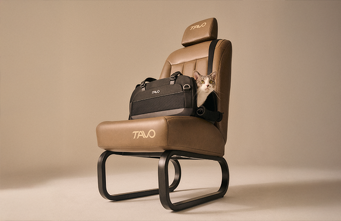 Cat inside a Tavo cat carrier on an airplane seat