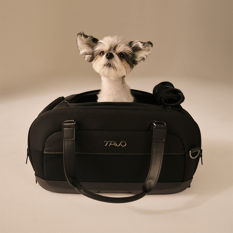 Small dog sitting inside a black pet carrier with 'TAVO' branding on a beige background