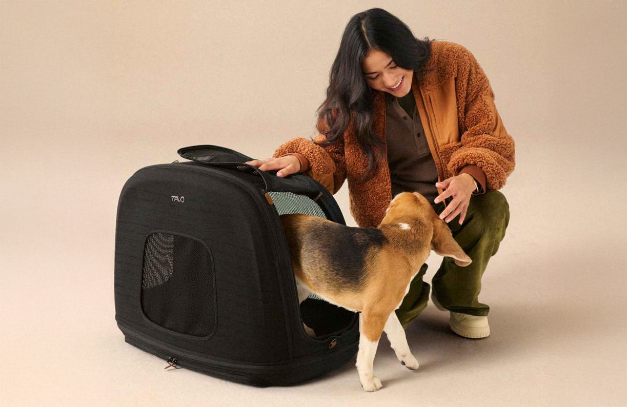 Woman with a dog interacting with a black Tavo pet carrier on a beige background