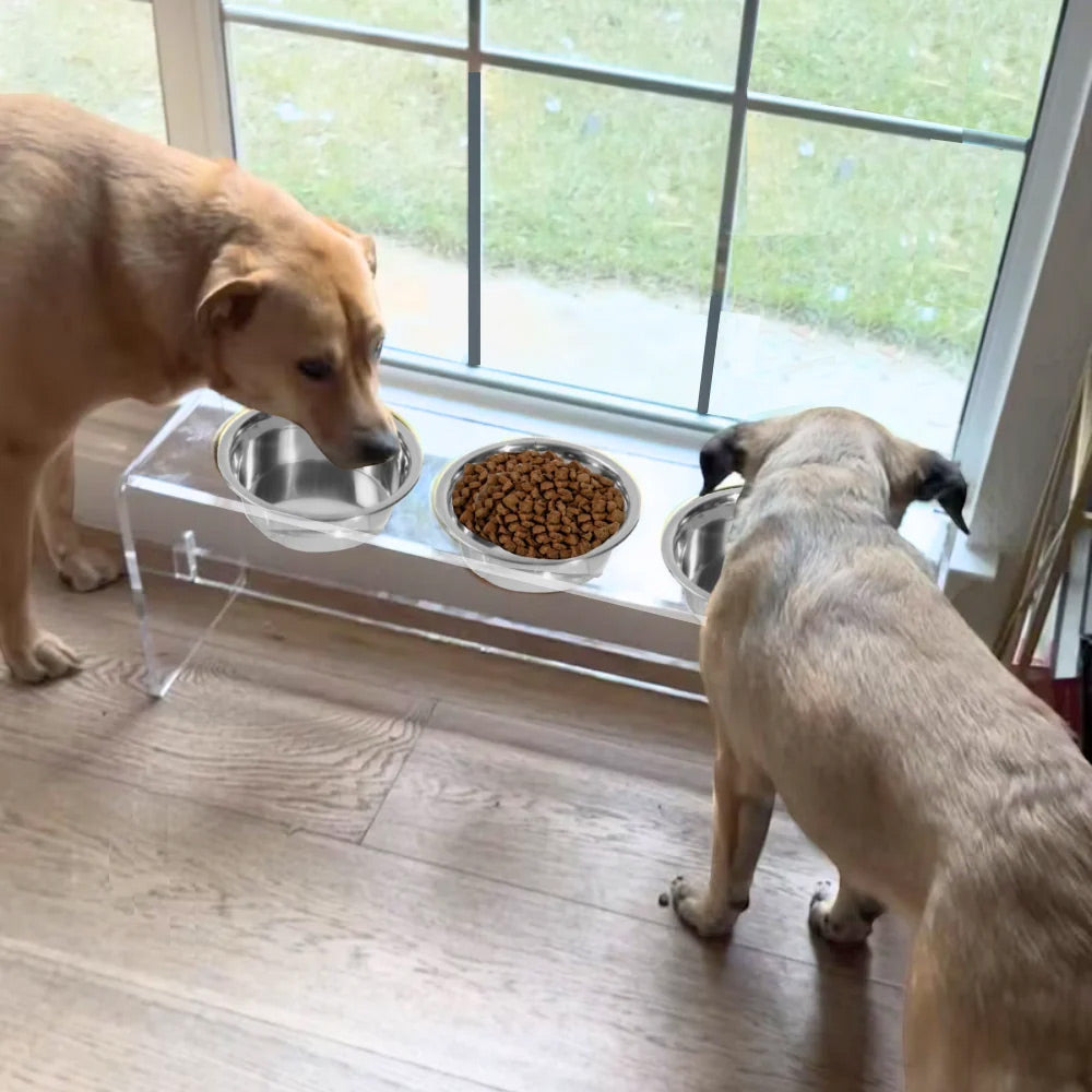 Two dogs eating from a three bowl dog feeder for food and water
