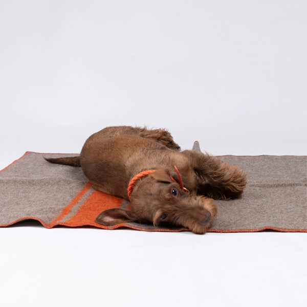 Ansel Recycled Wool Dog Blanket