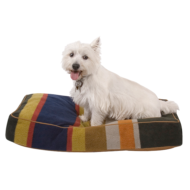 Pendleton Badlands National Park pet napper is perfect for rustic homes