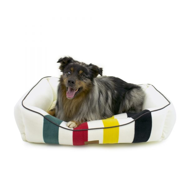 Best dog bed from Pendleton in Glacier Park collars