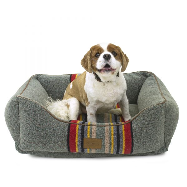 Best dog bed from Pendleton in heather green color