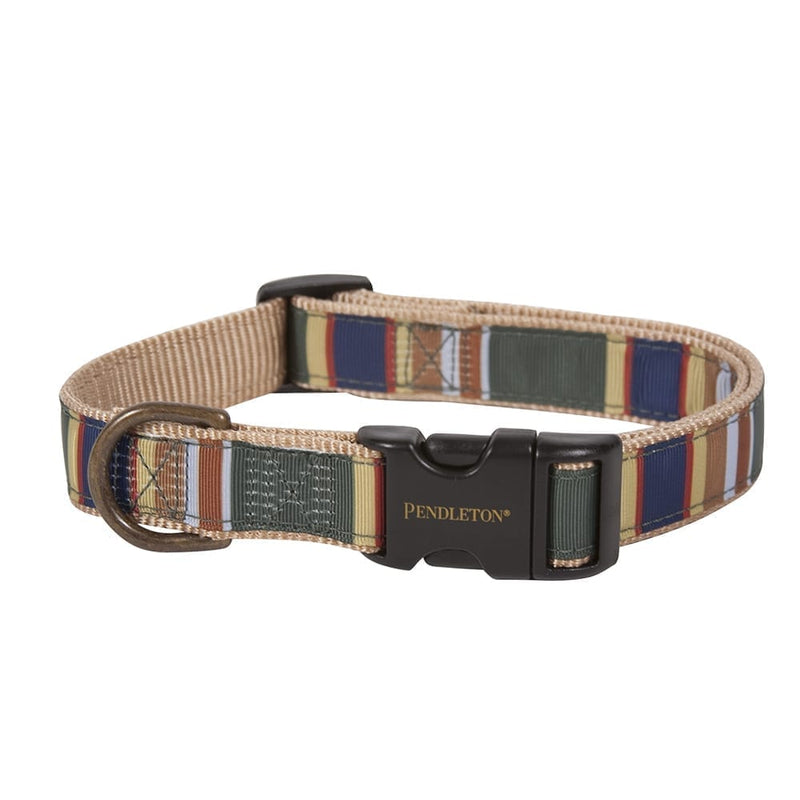 Hiking with your dog?Pendleton dadlands national park dog collar is an essential.