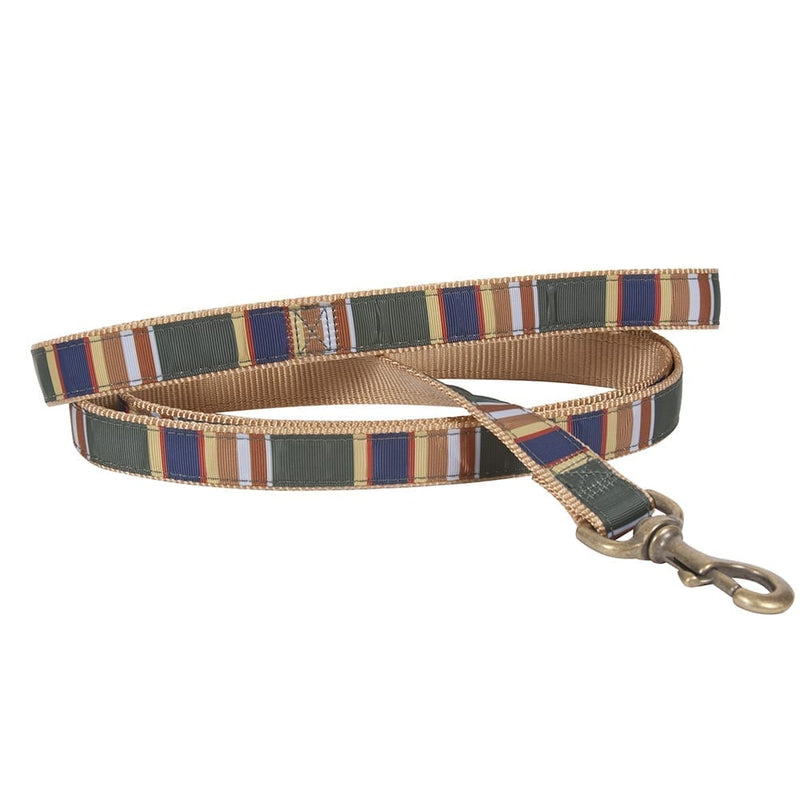 Badlands National Park Leash by Pendleton is a must-have for every hiker.