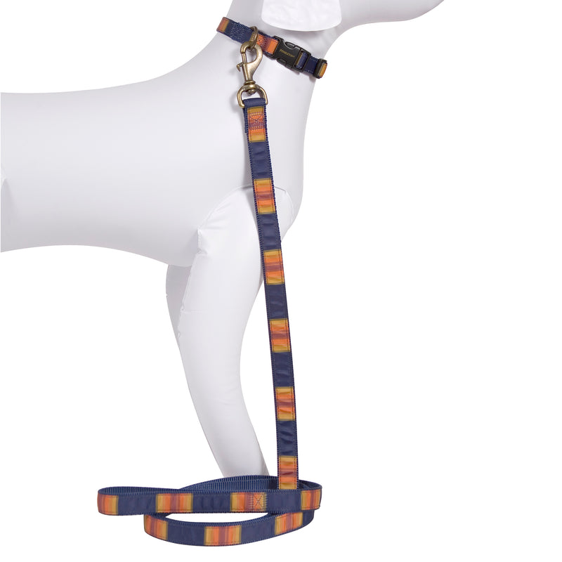 Pendleton hiker dog leash in Grand Canyon National Park colors with the matching dog collar.