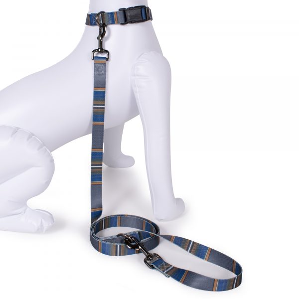 Pendleton olympic dog leash
