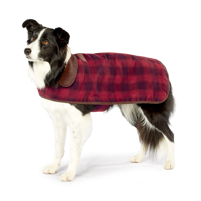 Warm winter jacket for your dog from Pendleton