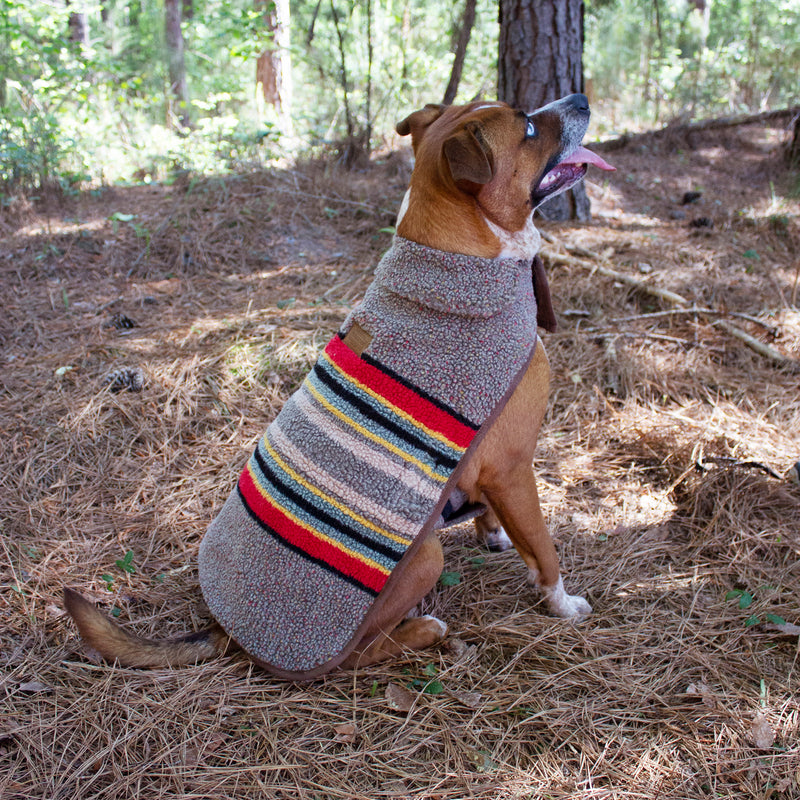 Large dog wearing Pendleton yakima dog coat outside