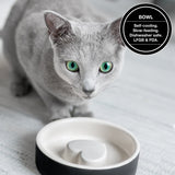 Slow feeder for cats. Ceramic and nontoxic. Best slow feeder for your cat.