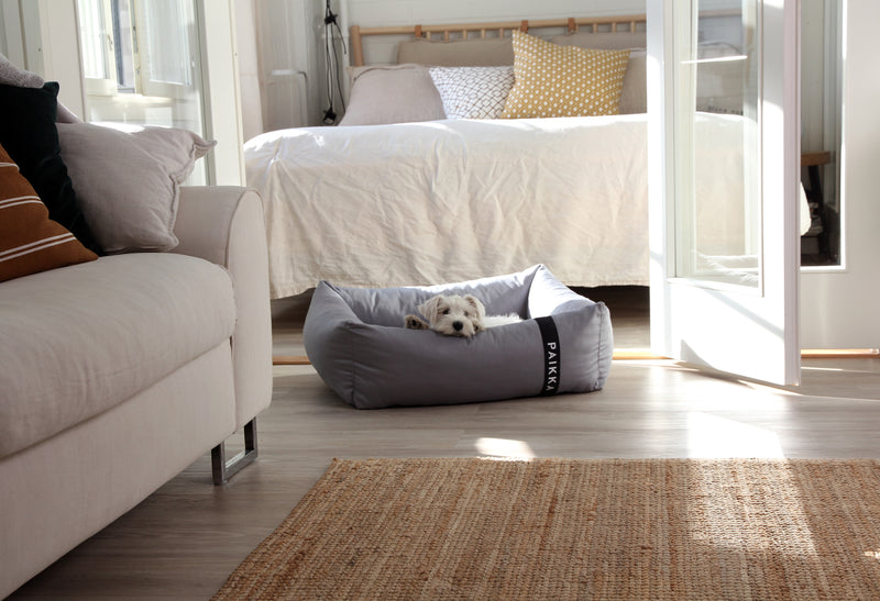 Recovery Orthopedic Dog Bed