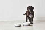Interior design friendly porcelain dog bowl to complement your kitchen