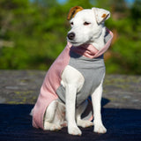 Paikka Recovery Infrared Apparel Winter Dog Shirt is Warm