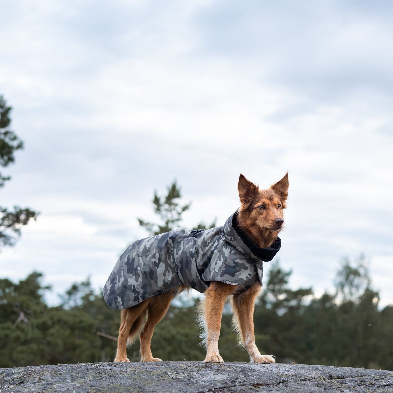 Paikka Waterproof Raincoat for Dogs in Camo