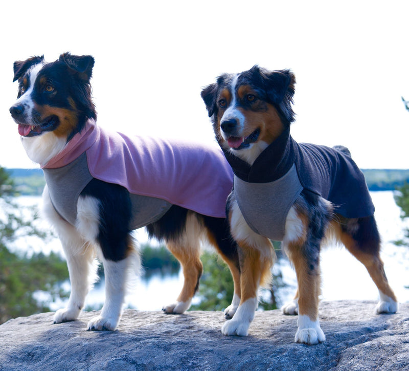 Infrared Dog Apparel from Paikka Dogs