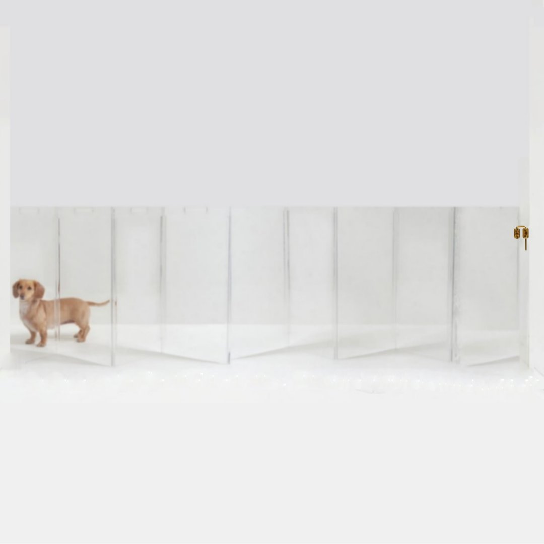 Best selling walll mounted clear acrylic pet gate