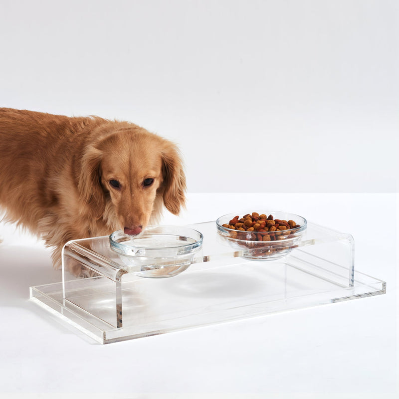 Dog drinking out of clear acrylic pet feeder with glass bowls