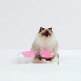 Siamese cat standing next to an elevated acrylic pet feeder