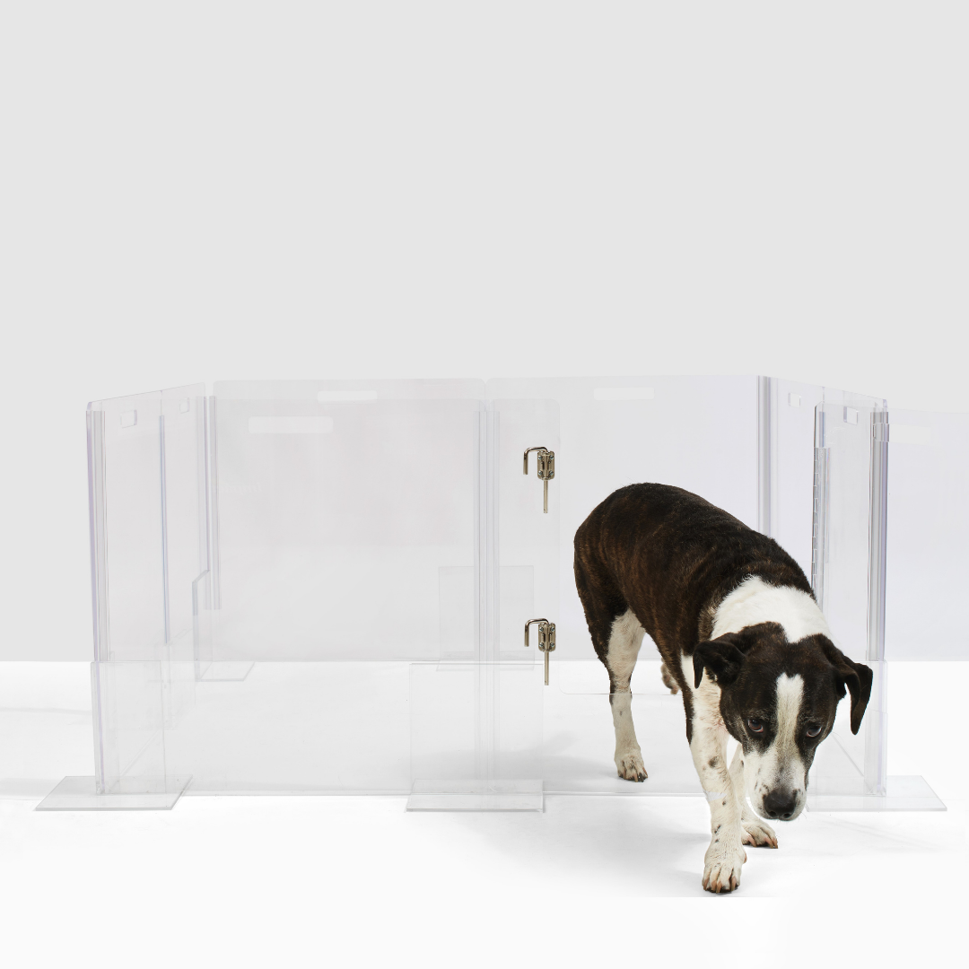 Clear Acrylic Puppy Playpen