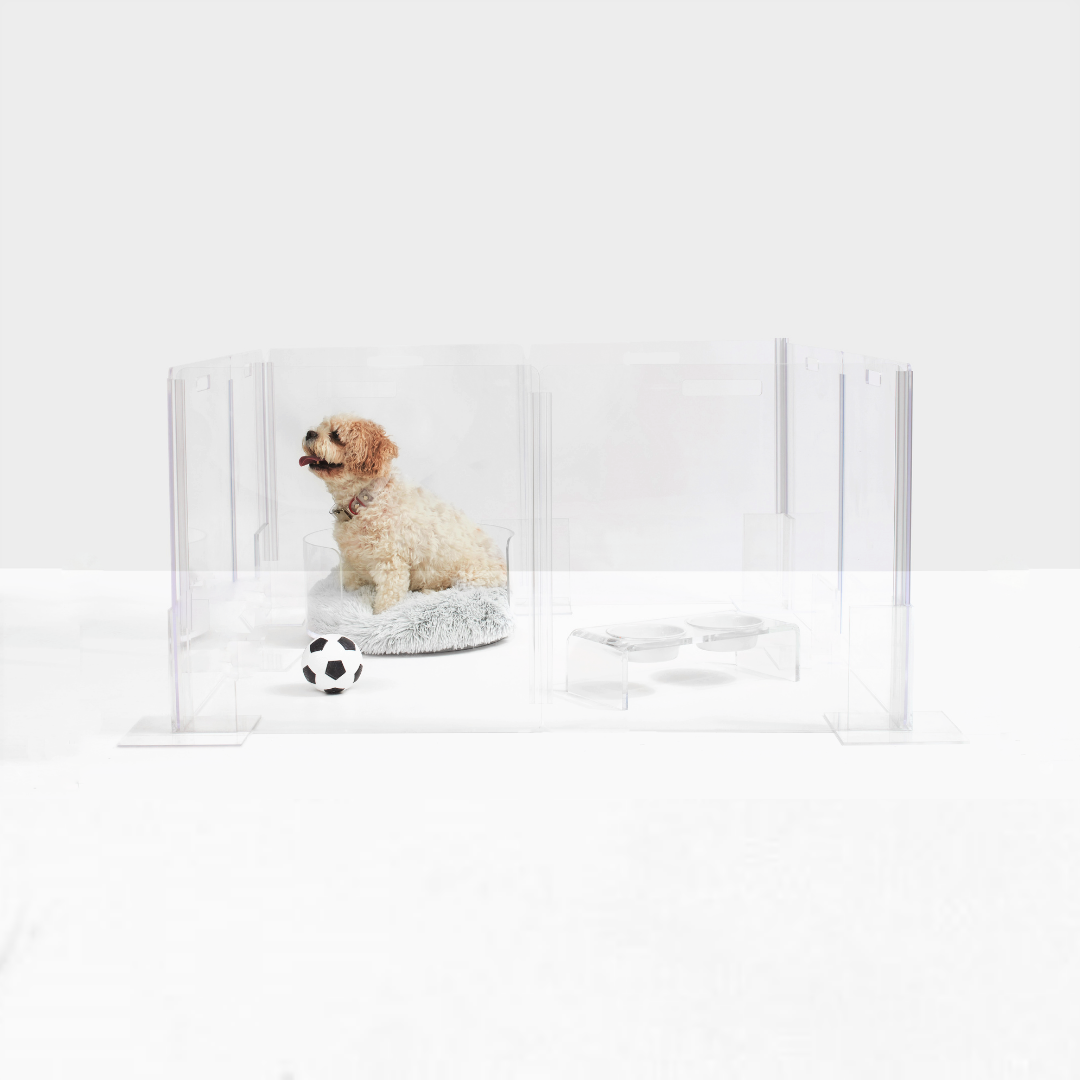 small dog sitting inside a clear play pen