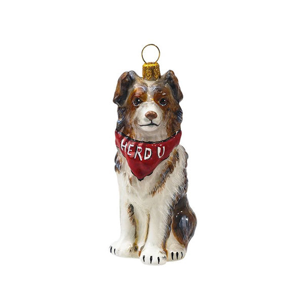 Australian Shepherd with Herd Bandana