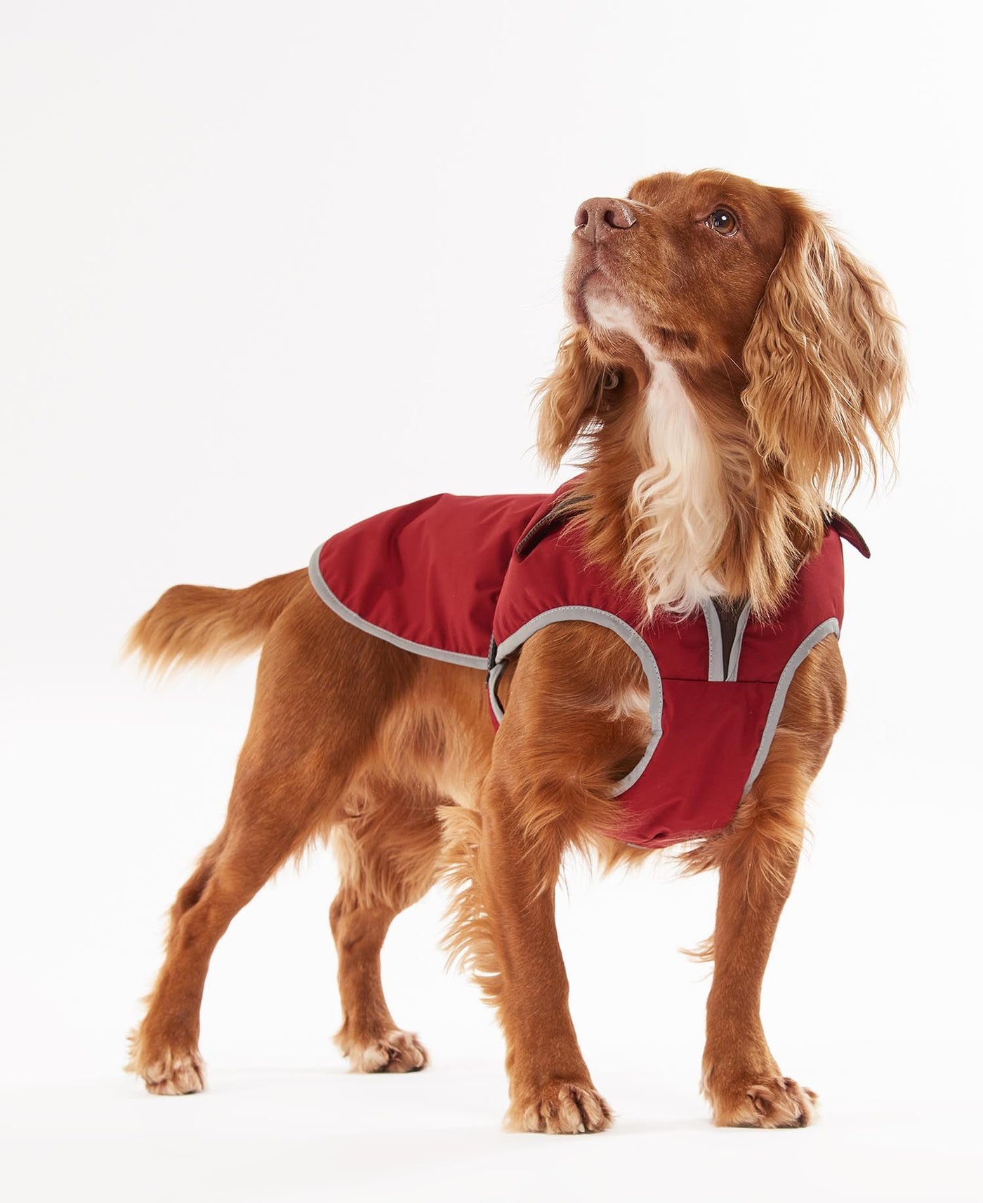 Barbour Monmouth Waterproof Dog Coat Wunderpets