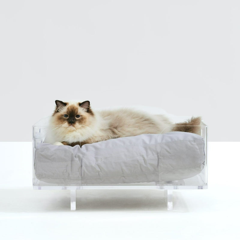 Siamese cat sleeping on stylish acrylic pet bed