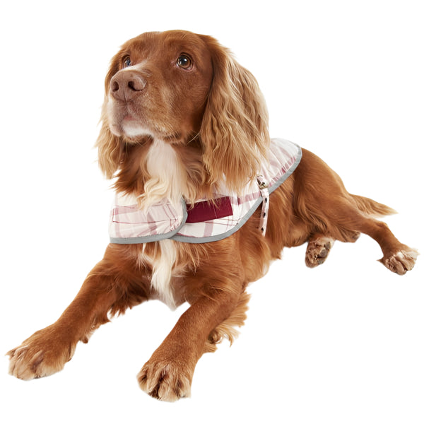 Fashionable and stylish Barbour dog coat in tartan pattern