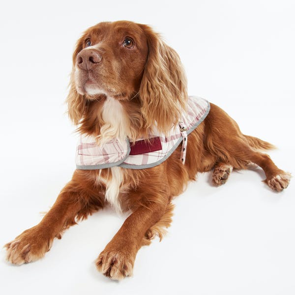 Fashionable and stylish dog coat in tartan pattern