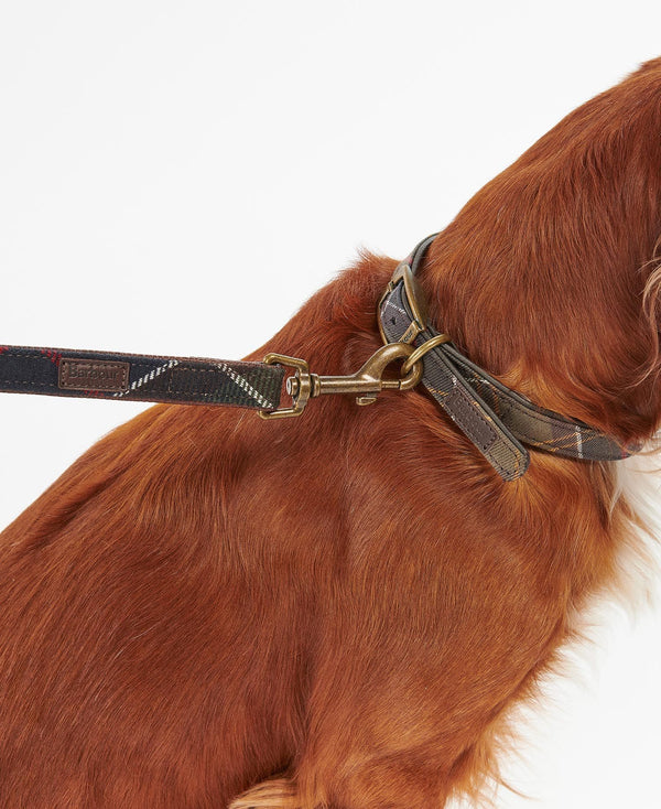 Barbour tartan dog leash in leather