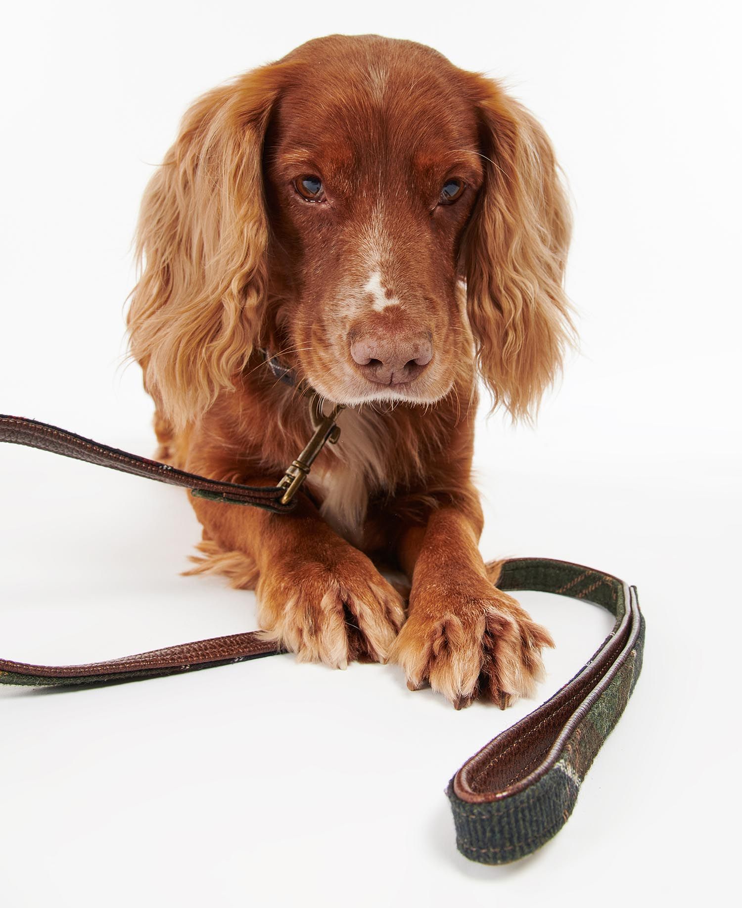 Luxury dog leash in Barbour leather