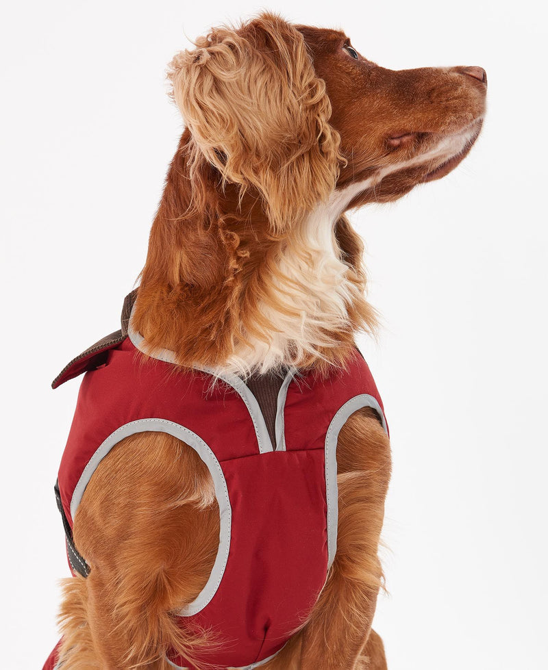 Stylish red dog coat from Barbour Dogs