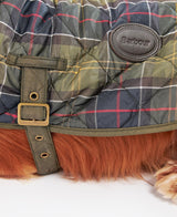 Barbour dog coat detail shows the buckle for ultimate comfort for your puppy