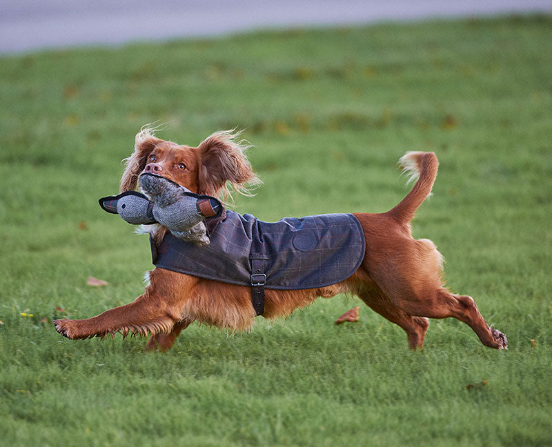 Barbour Waxed Cotton Tartan Dog Coat - Small