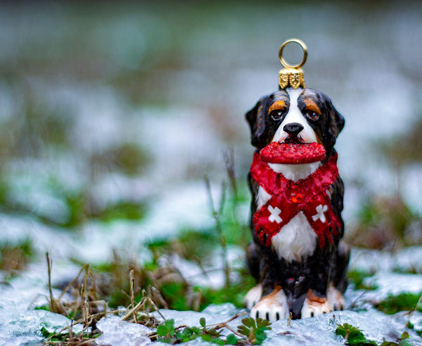 Joy to the world dog ornament for bernese mountain breed