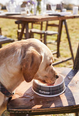 Golden retriever drinking water from Barbour Tartan Dog Bowl