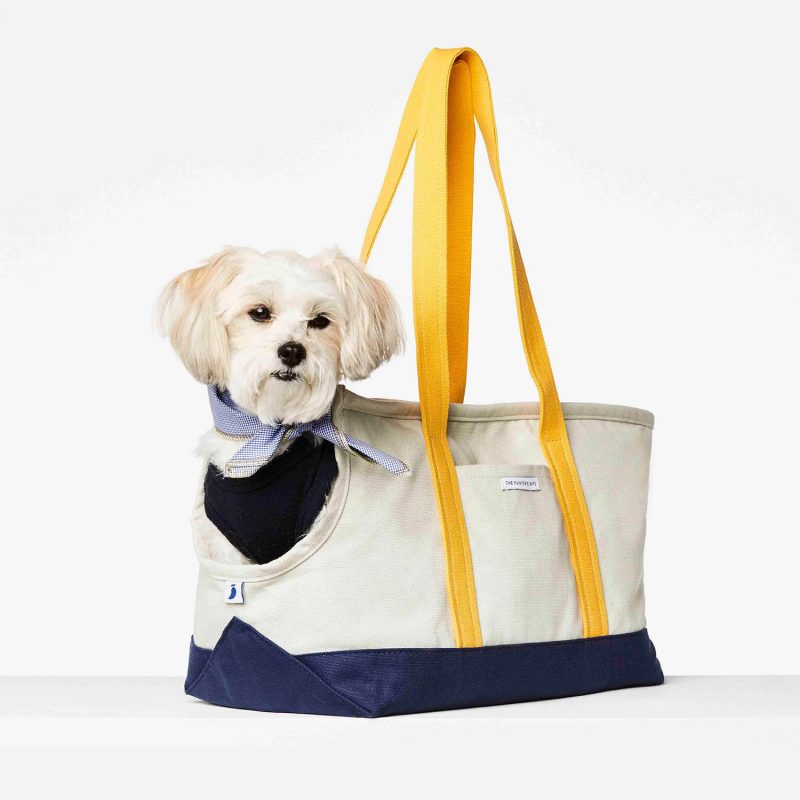 Painter’s wife canvas dog carrier