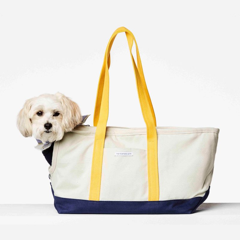 Best dog carrier for small dogs from Painter’s wife