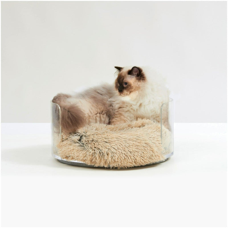 Acrylic pet bed with cushion