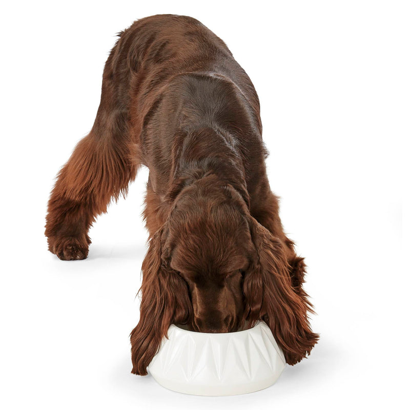 Long Ear Dog Food Bowl 