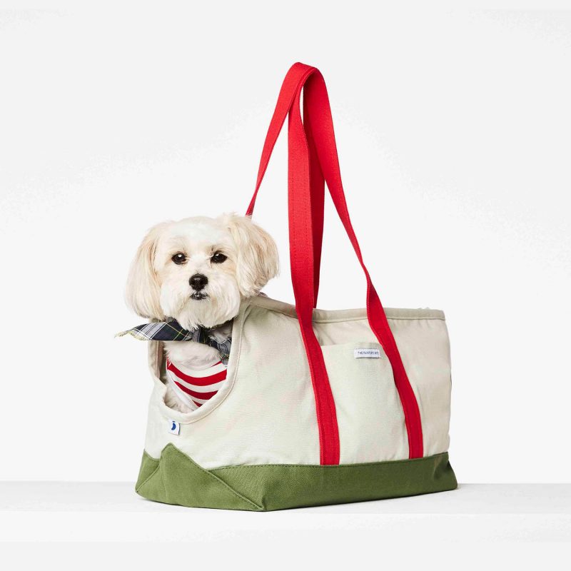 Constantin canvas dog bag carrier in red color