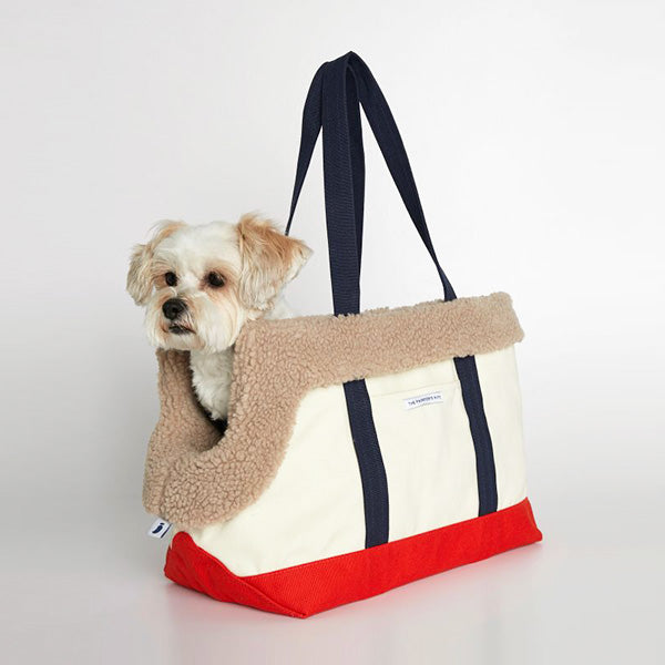 Canvas Dog Tote - Natural & Orange – Designer Dog CarriersDesigner Dog  Carriers